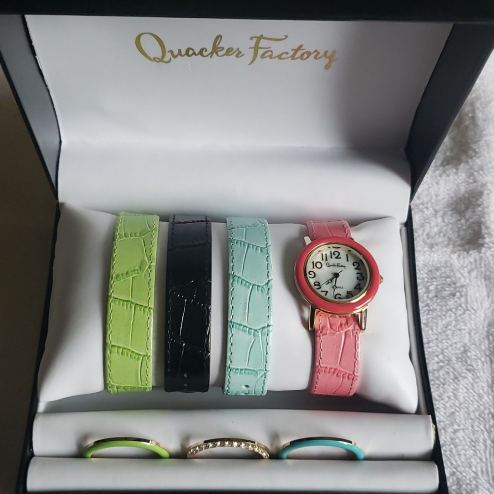 Quartz Quacker Factory Interchangeable Watch Set